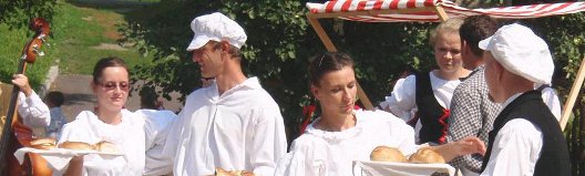 Folklorní soubory Žďár nad Sázavou